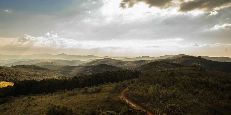 从设计到落地：河南中大门如何重塑建材平台，整合设计师资源与门窗供应链？