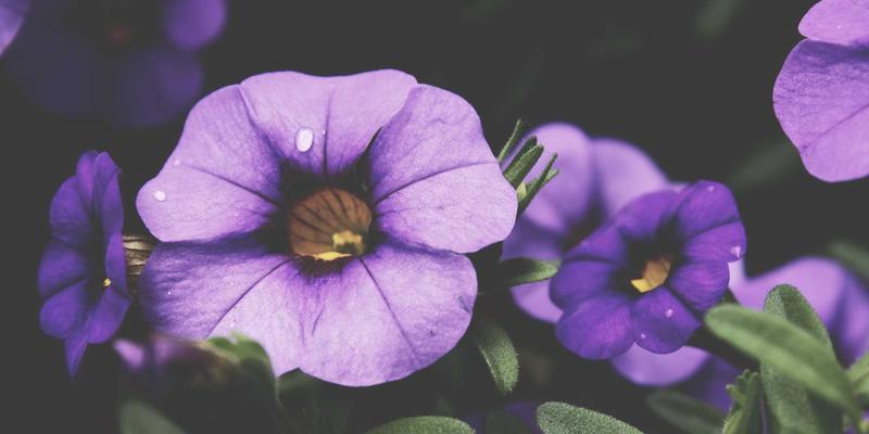 探秘河南中大门质检中心：如何构建门窗行业的质量标准与供应商准入体系