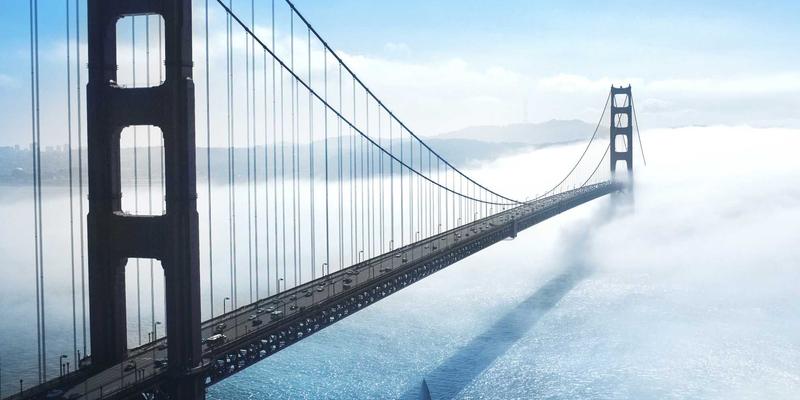 河南中大门100：解码门窗行业新趋势，赋能智慧建材采购