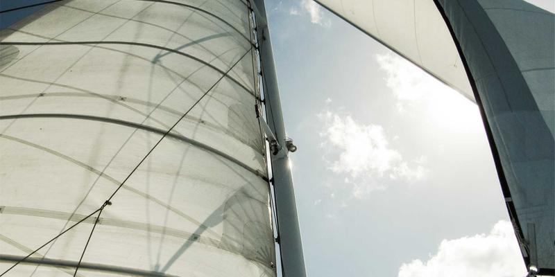 河南中大门39：洞悉门窗行业新趋势，引领中原家居新风尚