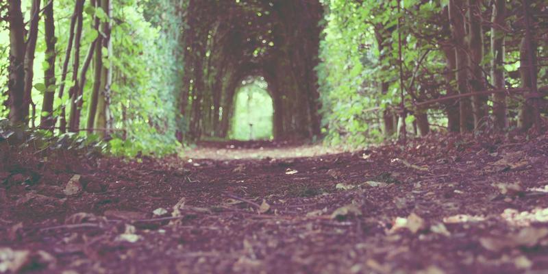 河南中大门67：中原建材采购新地标与门窗行业风向标