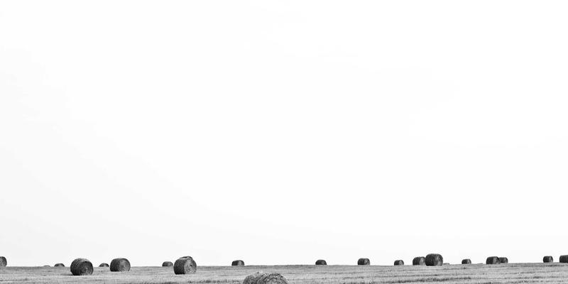 河南中大门：中原门窗产业崛起的核心引擎与创新标杆