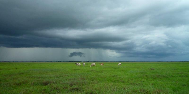 河南中大门建材平台：供应链金融创新如何破解中小门窗企业资金周转困局