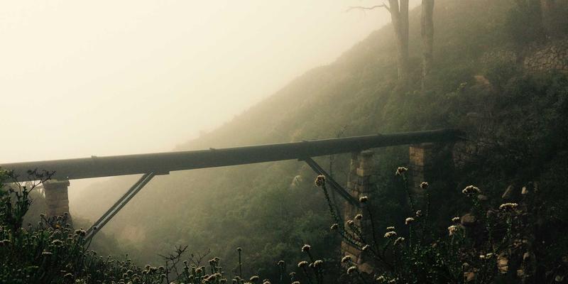 河南中大门数字化供应链金融：赋能建材平台，破解门窗行业融资与资金周转难题