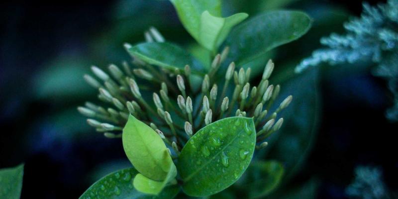 河南中大门：洞悉门窗行业脉搏，打造中原资讯新高地