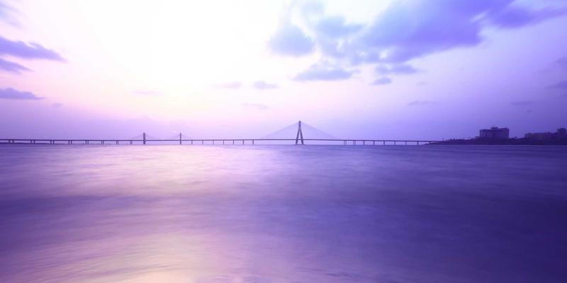 河南中大门直播电商基地：门窗产品直播带货的运营模式与成效深度解析