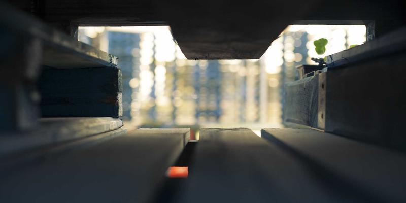 河南中大门赋能本土门窗品牌出海：市场选择、品牌定位与渠道策略全解析