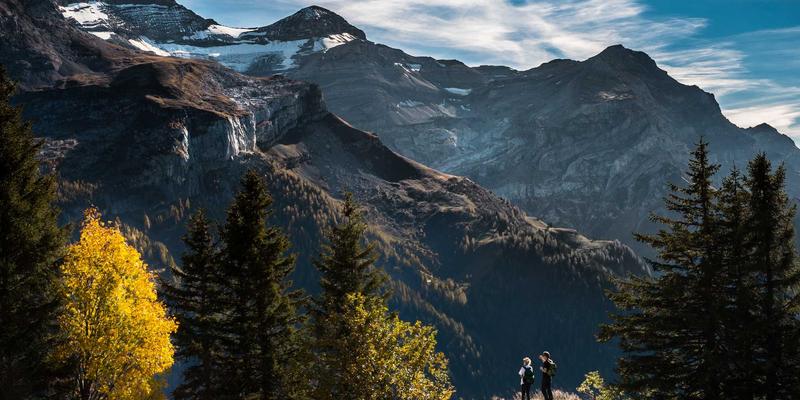 河南中大门跨境电商运营策略：门窗品牌如何借助平台开拓中东与欧洲建材采购市场