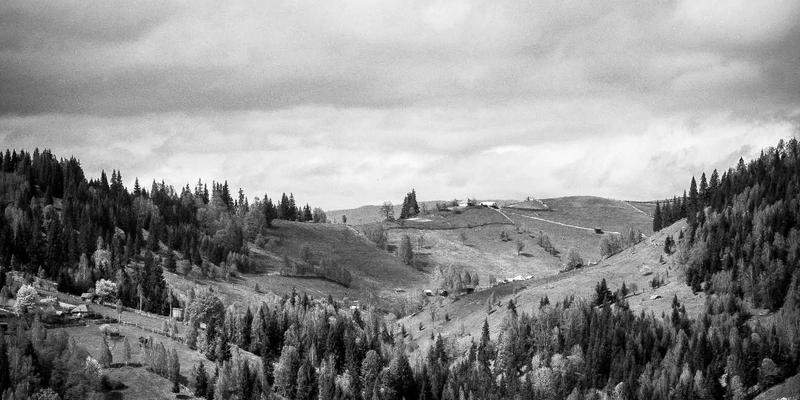 河南中大门:门窗行业变革的缩影与产品力深度解析