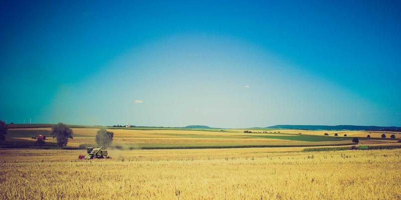 门窗行业人才新引擎：河南中大门携手职业院校，打造产教融合新范式